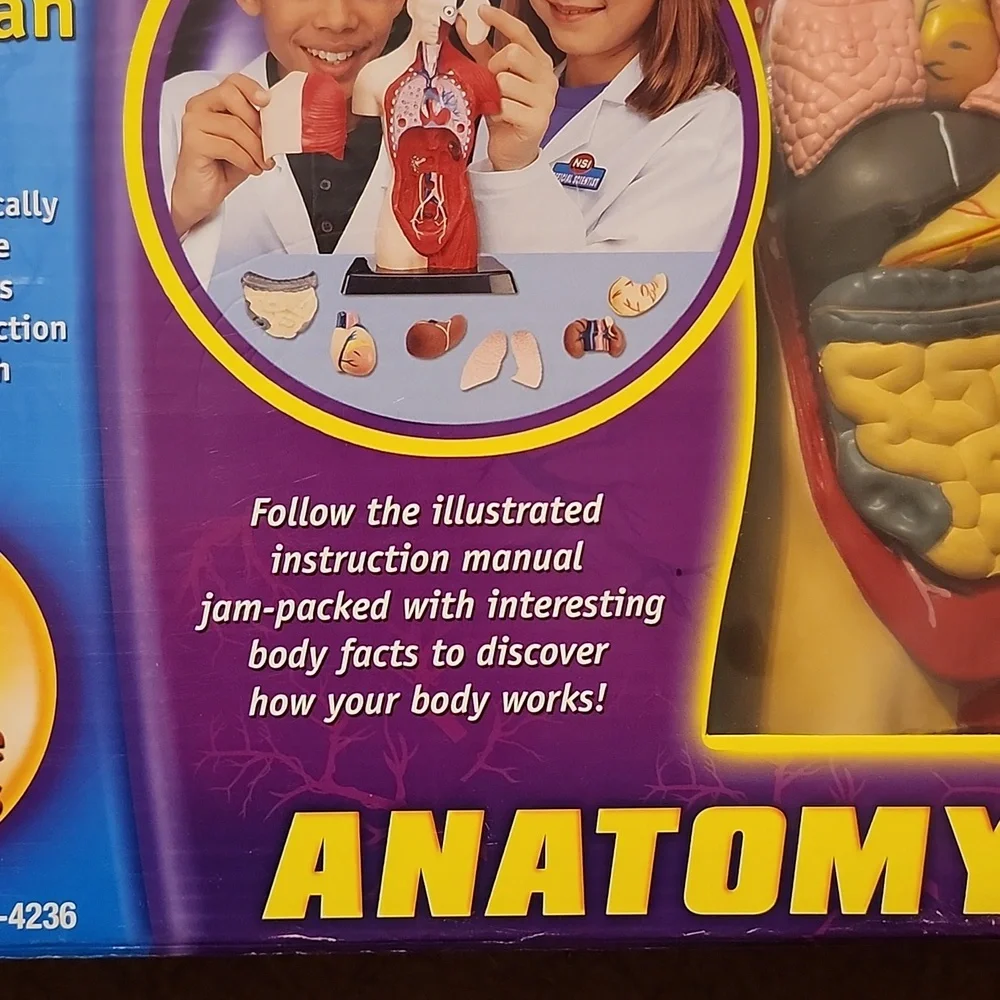 Anatomy lab Smithsonian science open box human body organs puzzle learning